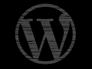 This Plugin Could Put Your WordPress Site At Risk